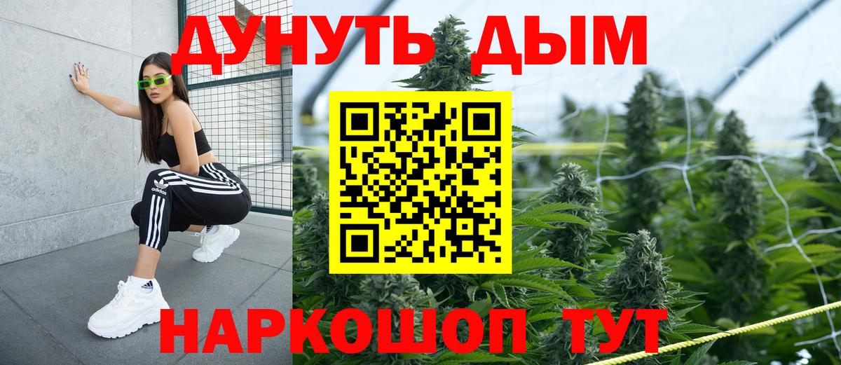 Бошки Шишки Amnesia  Канабис White Widow  МАРИХУАНА Ganja  Гай  Бошки марихуана Amnesia  Вход с VPN 